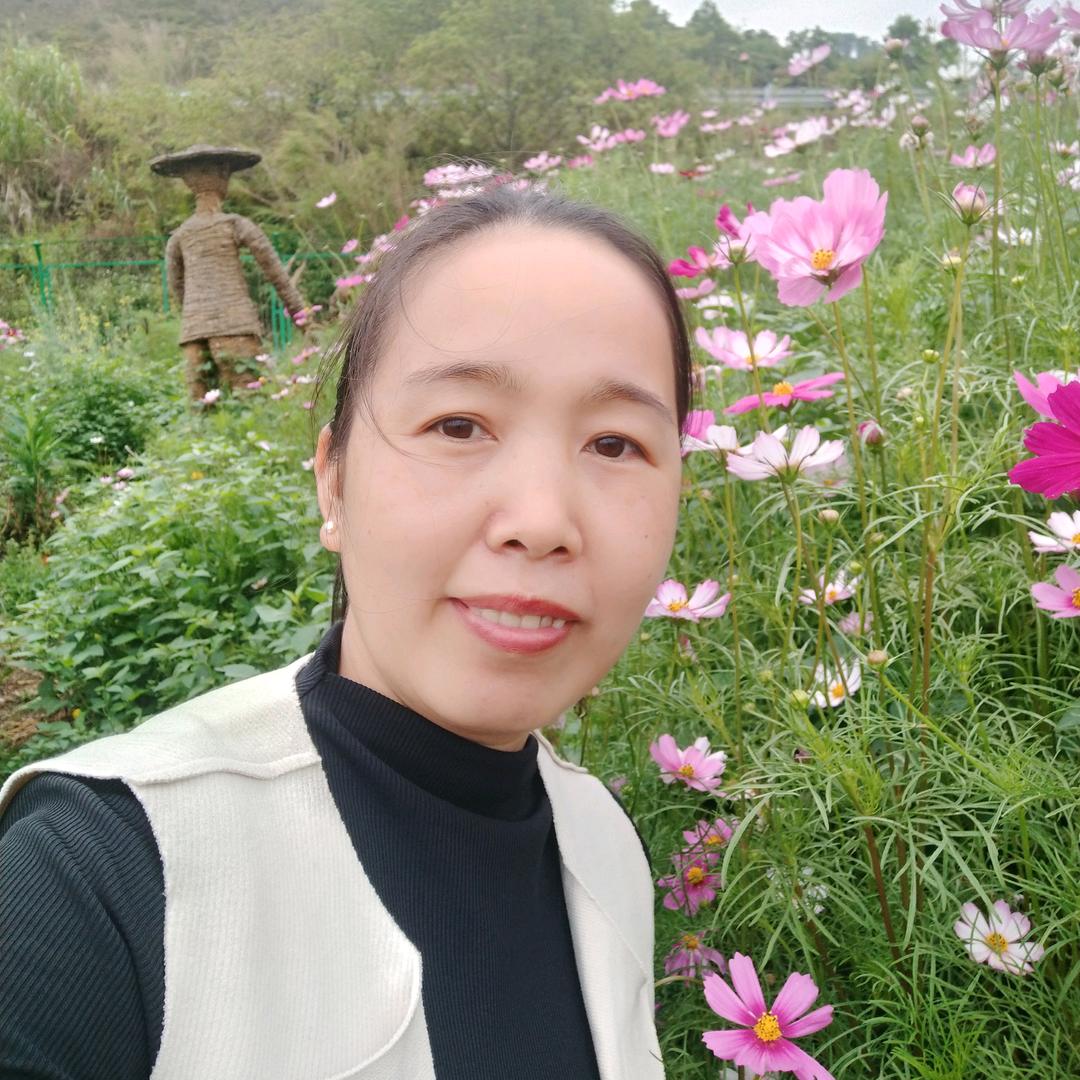 家政技能规划黄老师