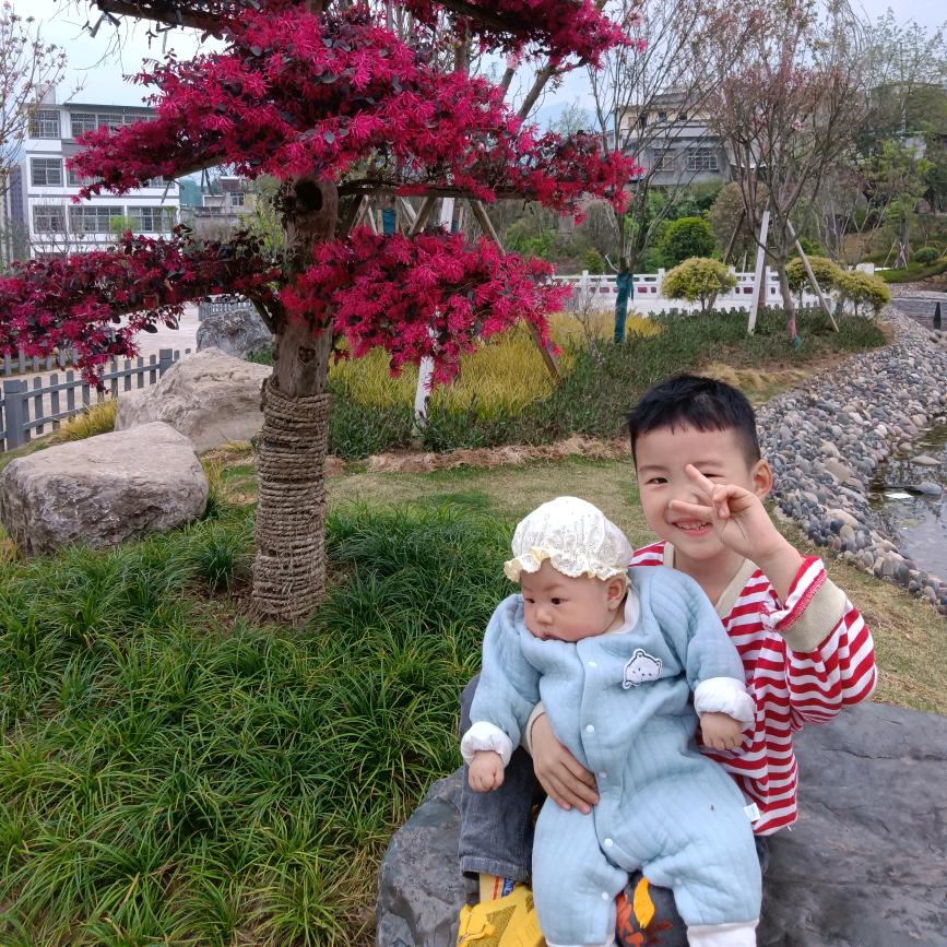 柠檬心酸(*˘︶˘*).。.:*♡