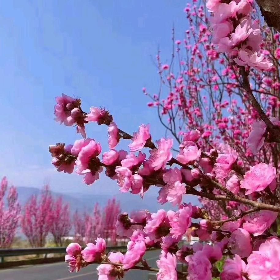 美好