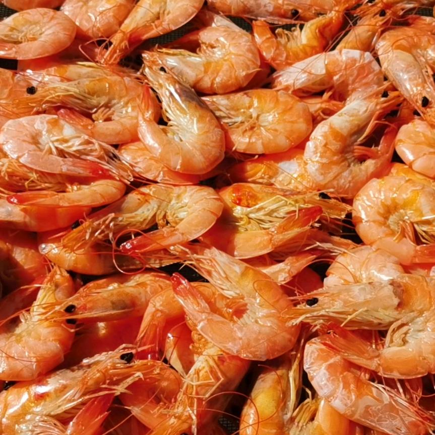 渔家傲小网海鲜