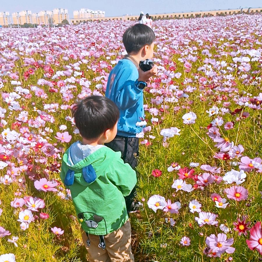 小书虫