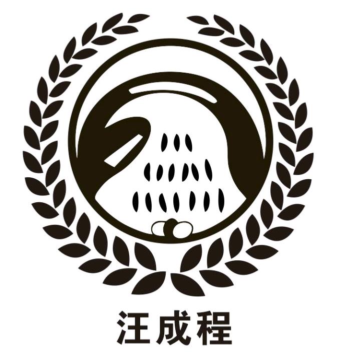 汪成程