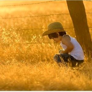 萌着萌着就懵了