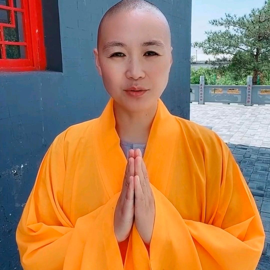 师太禅语