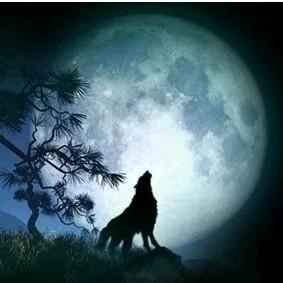 封心自爱！！！！！