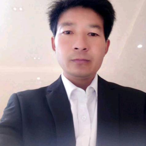 一株松柏