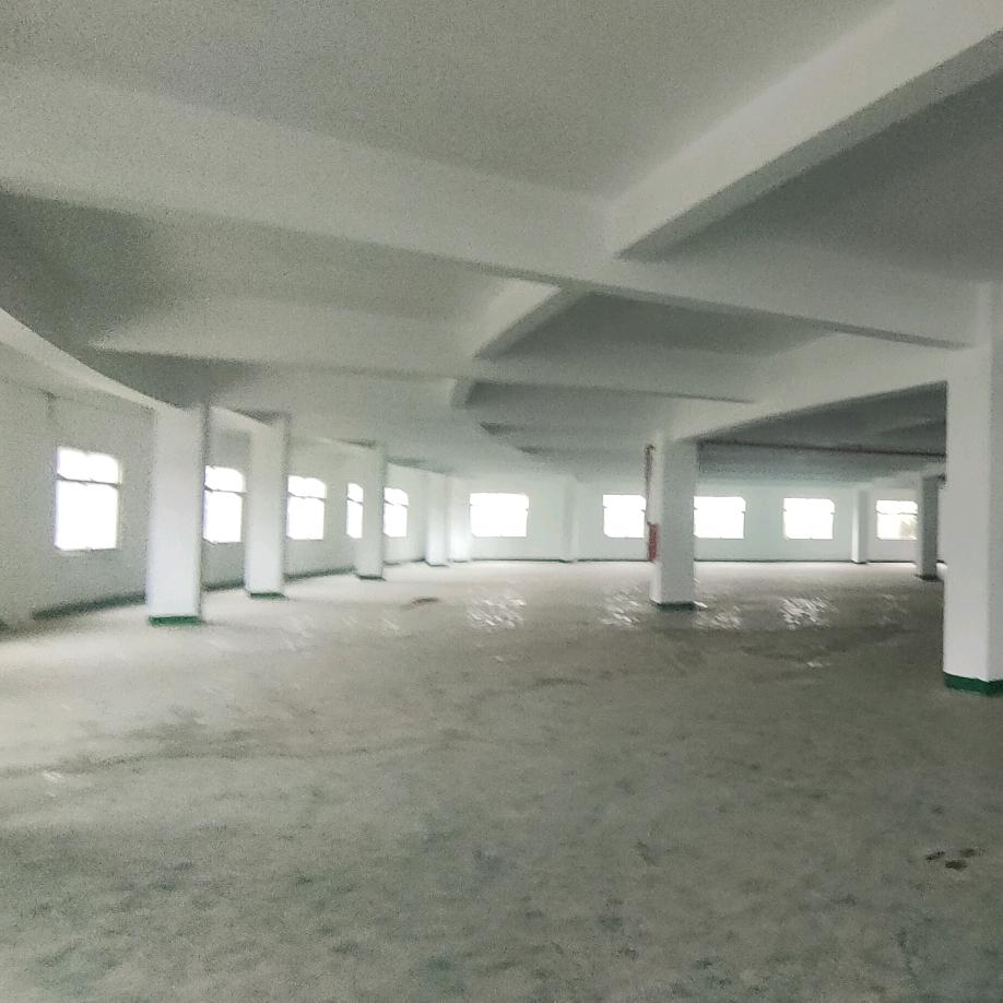 狮岭厂房仓库招租