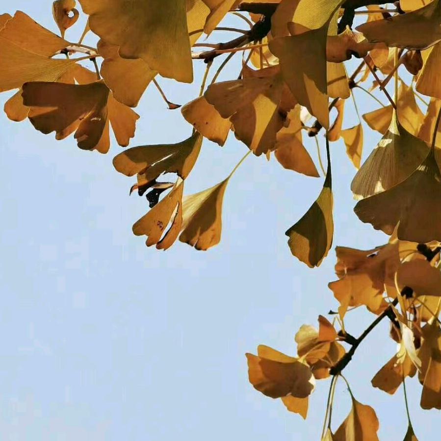 (ง •̀_•́)ง加油