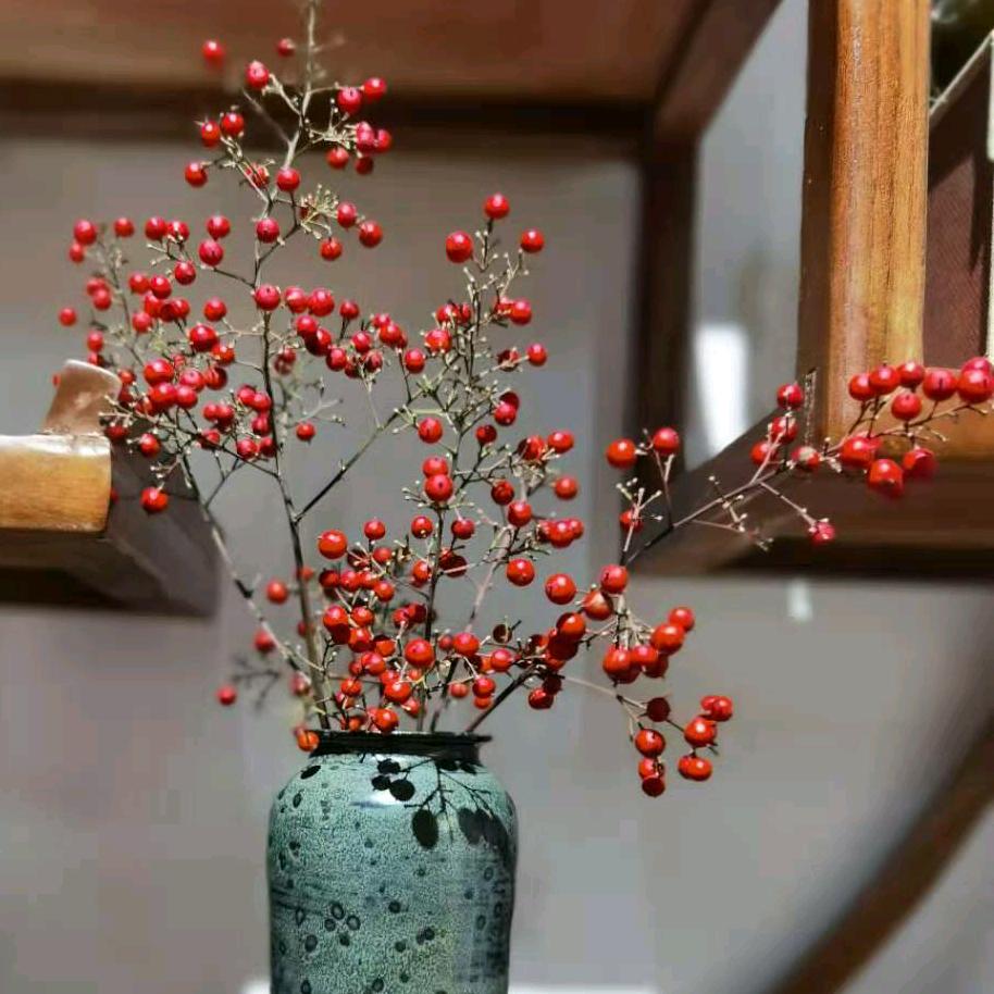 茉梒🌸