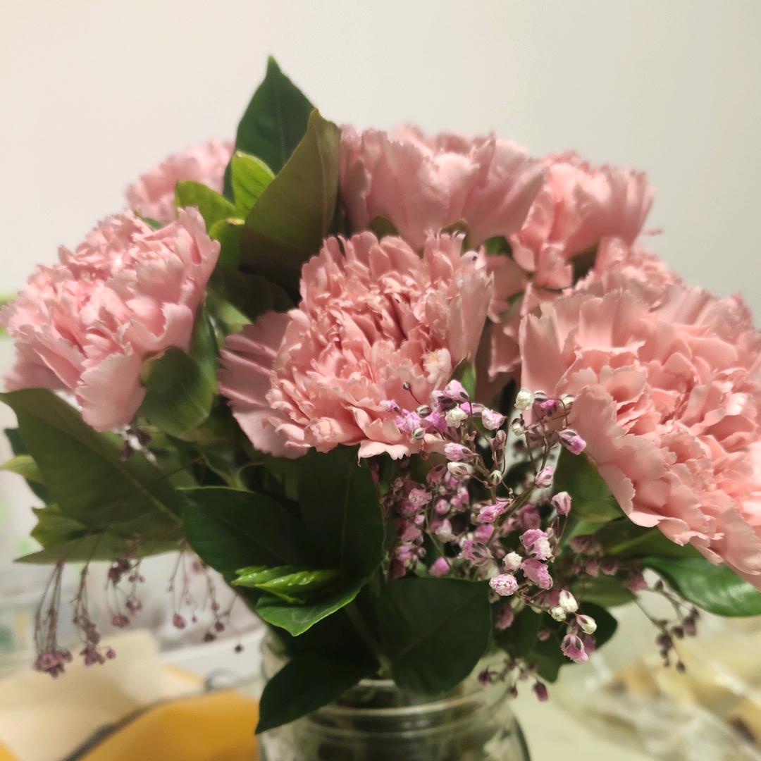 兰花草~~~