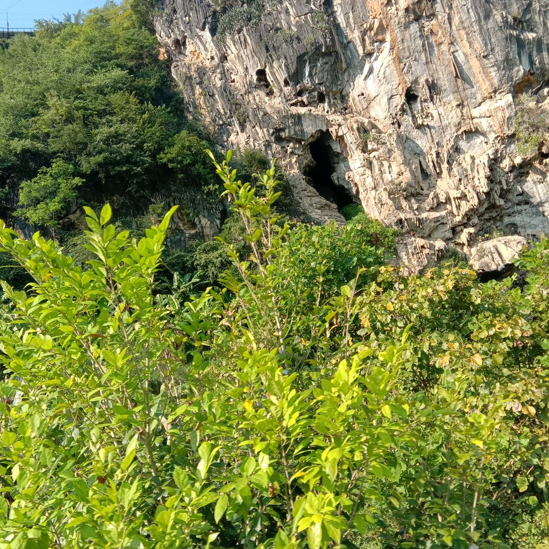 💔᭄ꦿ从未დ放弃ꦿ࿆ྃ爱你@@