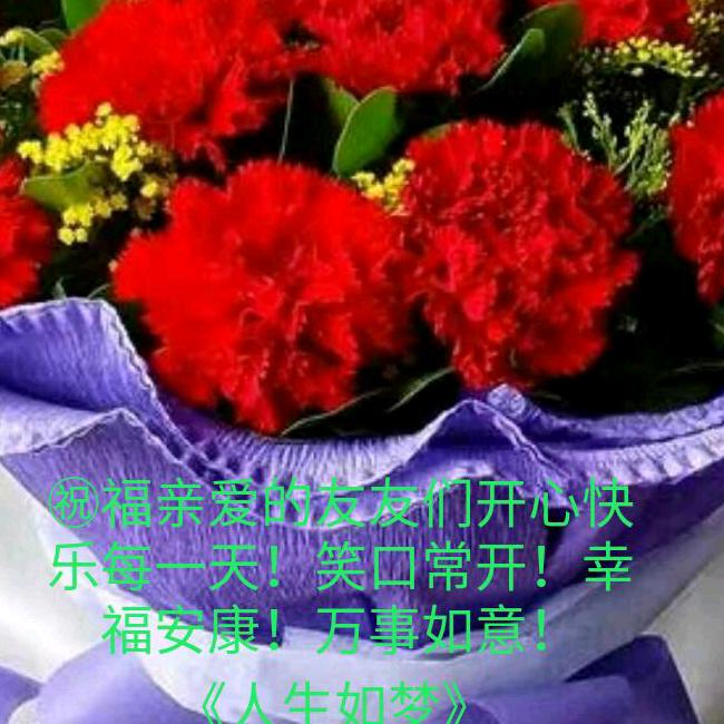 《人生如梦》