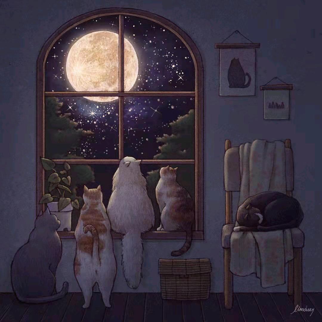 铁憨憨不会不开心