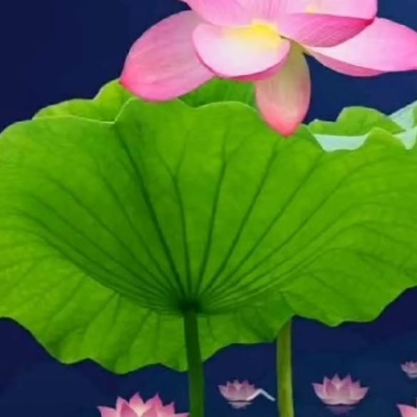 刁蛮公主★氩弧焊：各种金属焊接