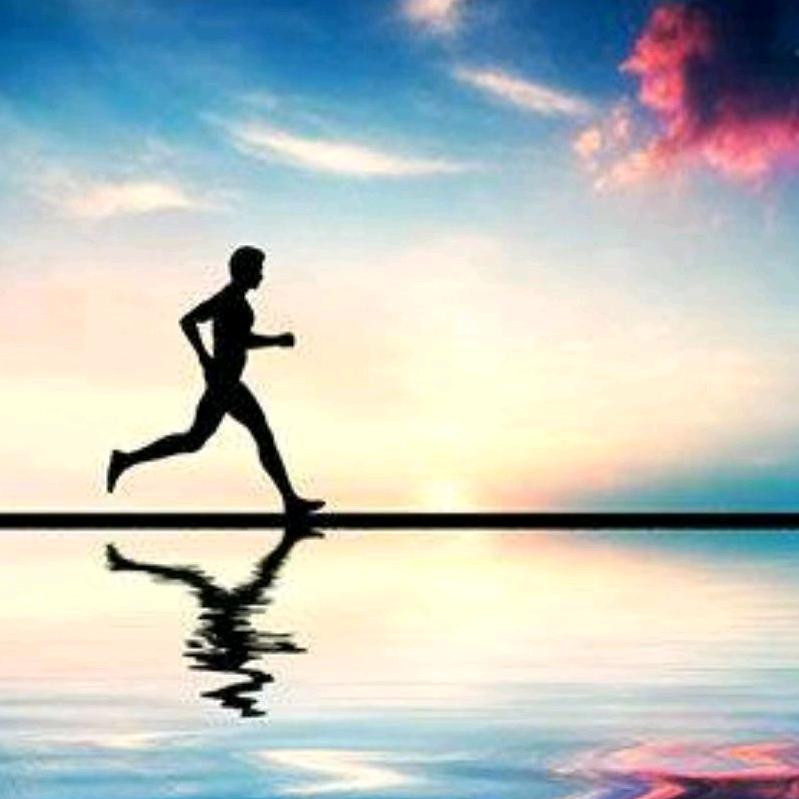 飞龙run