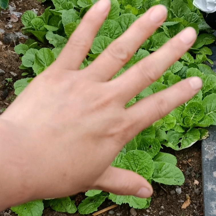 健康大于一切！