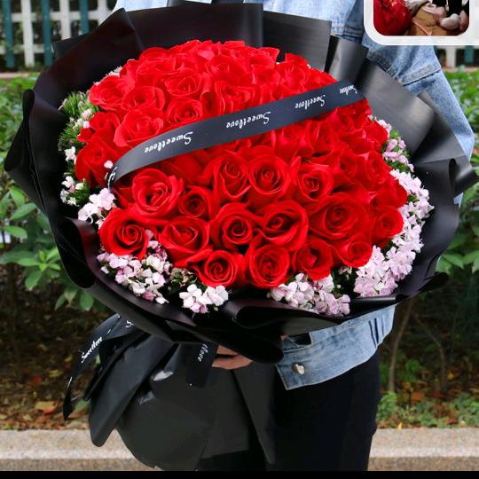 一场 游戏一场梦