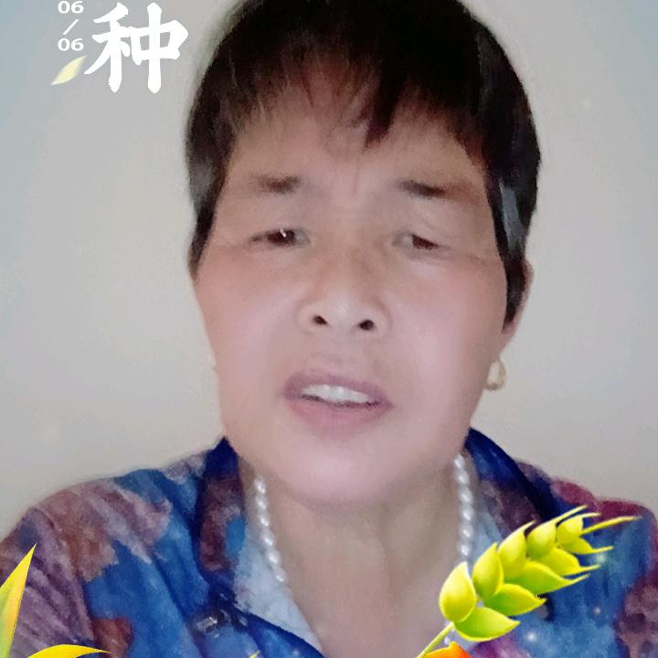 金莲