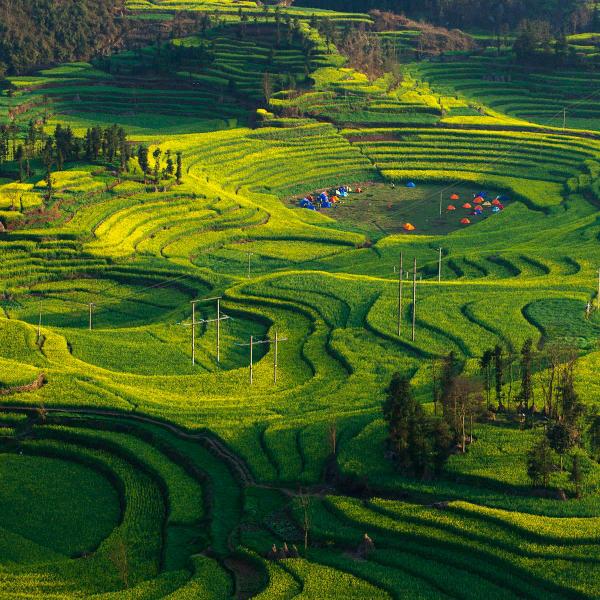 浴尔舒/平面板材/玻璃/贴膜机