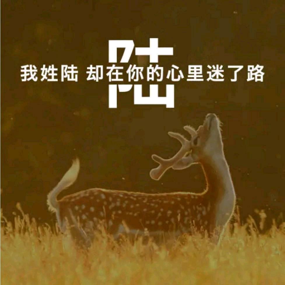 小陸別亂撞🌈