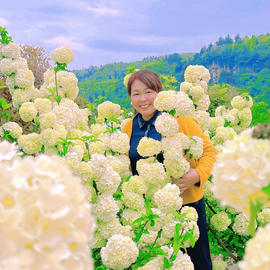 福银（村书记助农安稳山羊）