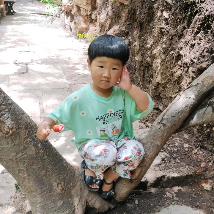 加工远志
