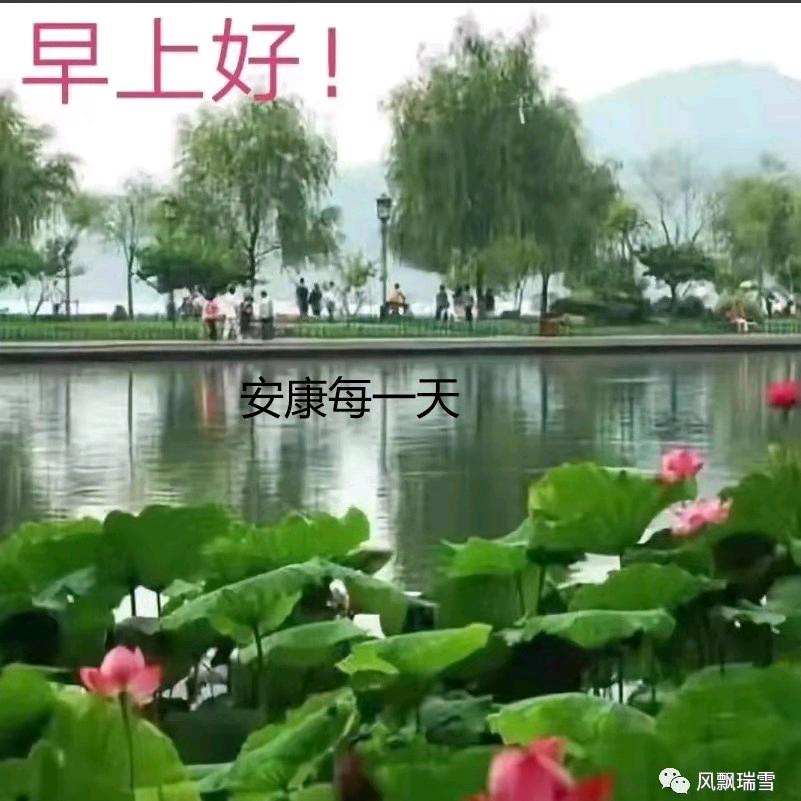 事事顺心