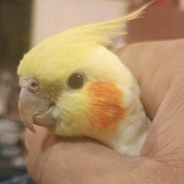 心❤️