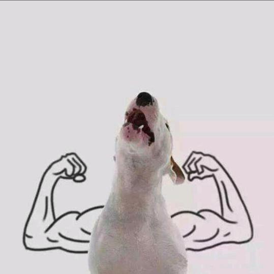 缘为冰.