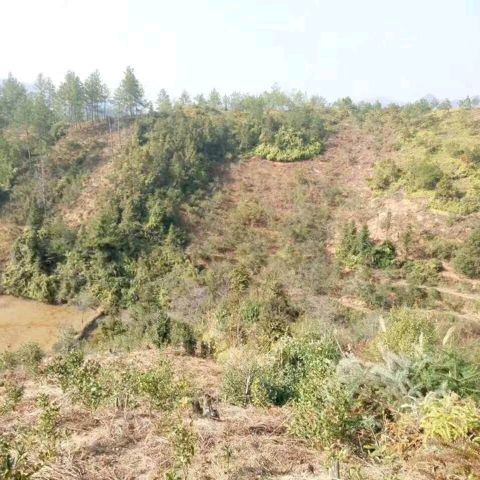 彦语