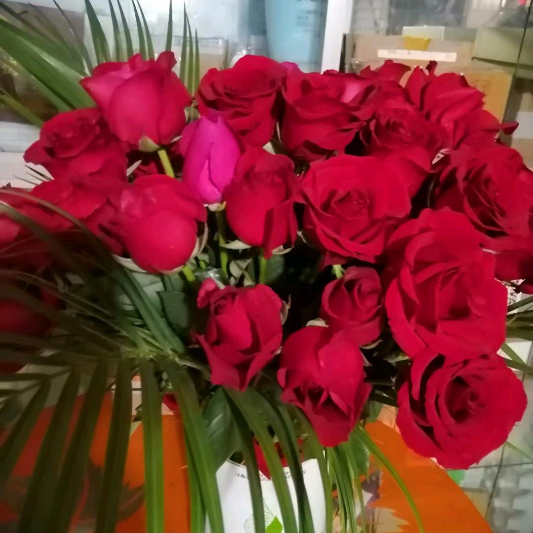 三妹ʕ  •ᴥ•ʔ……