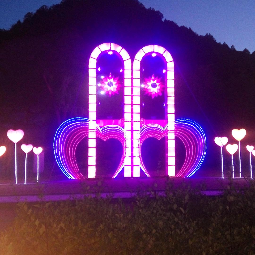 飞雪飘零🇨🇳