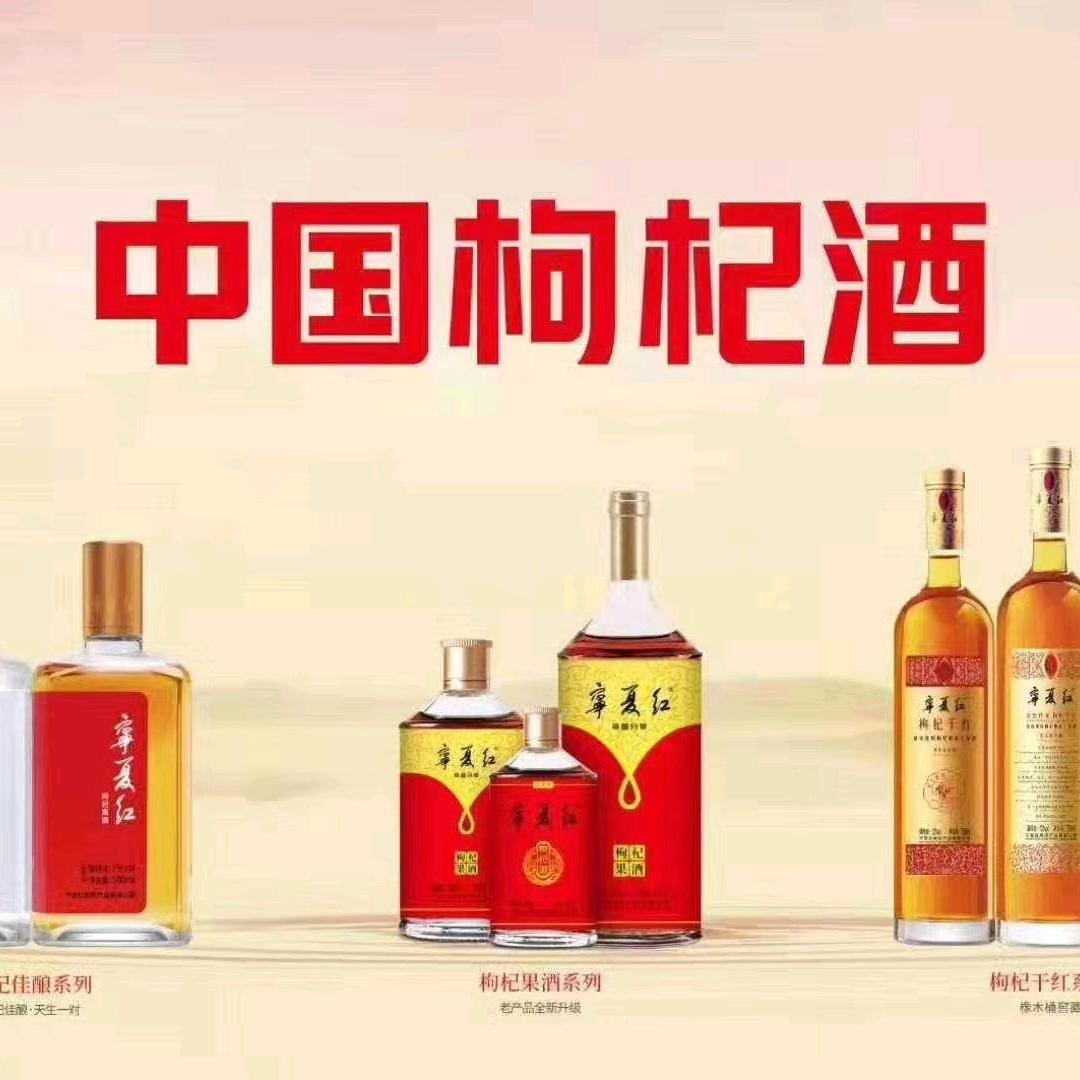 沙漠骆驼