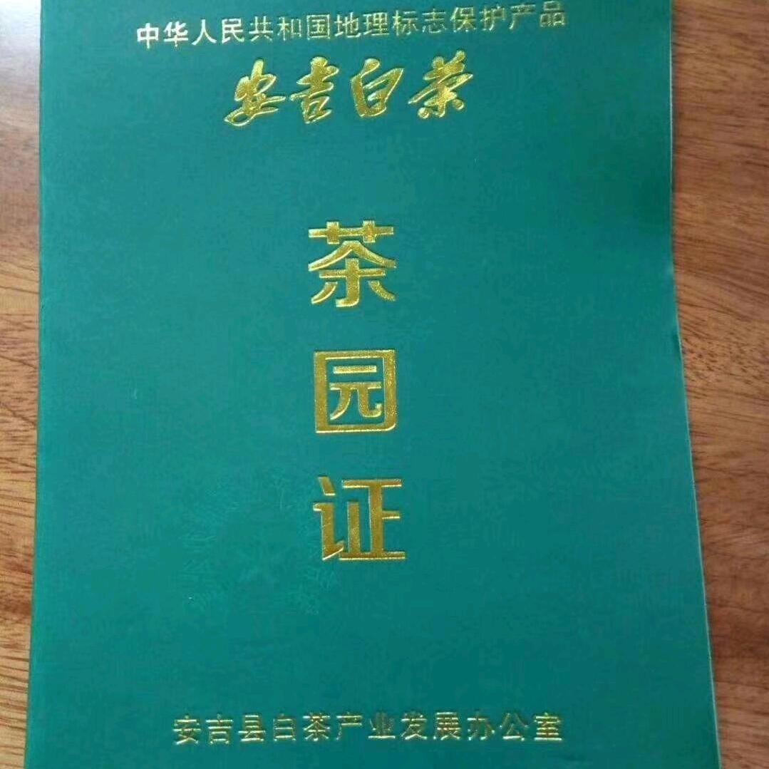 滕州市吉山茶业