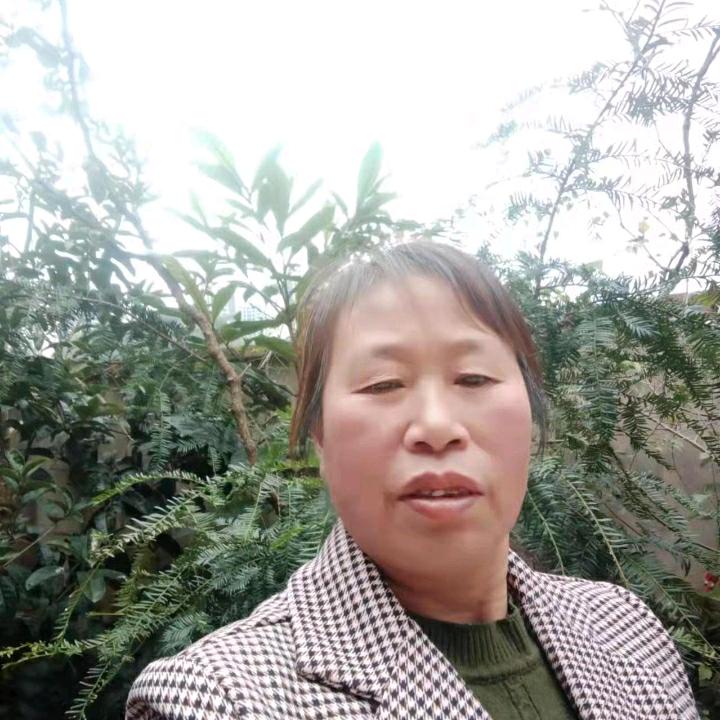 张姐1