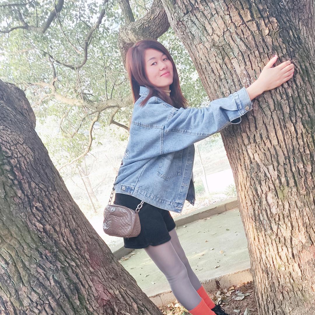 湖北燕子