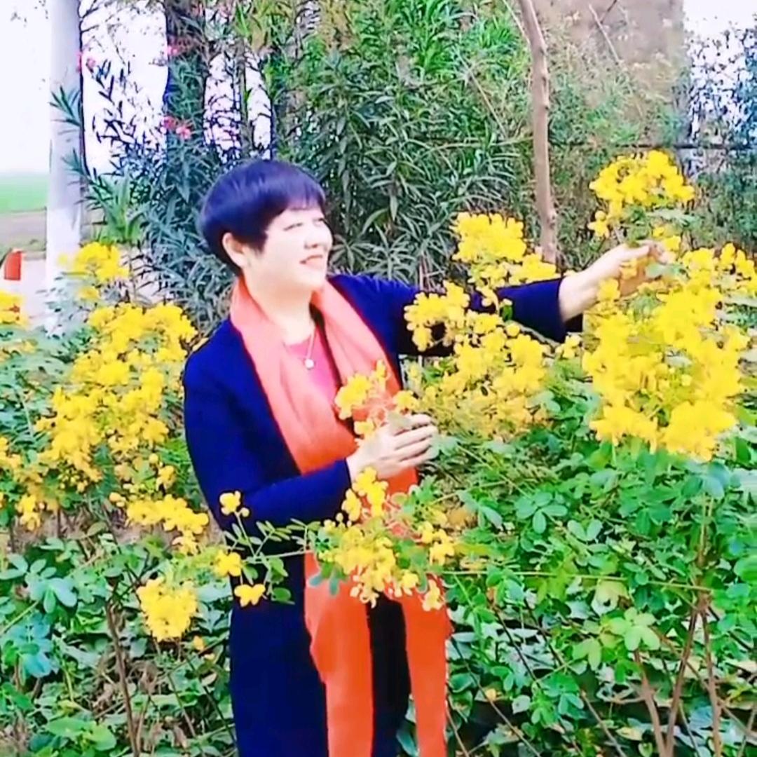 快乐的阳光