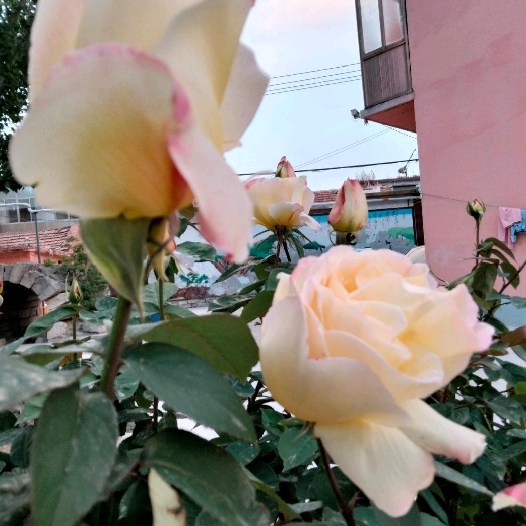 健康开心最重要