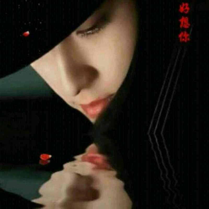 梦落晨风