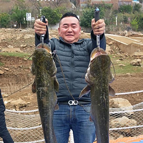 小龙探钓🎣