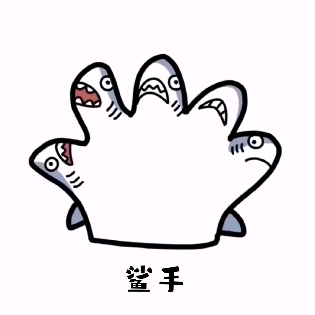 慕琛📷(自由 爽爽粉版)