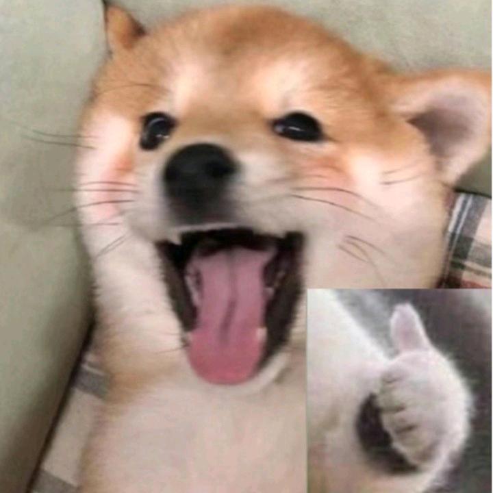 眼里满是遗憾（lolm）