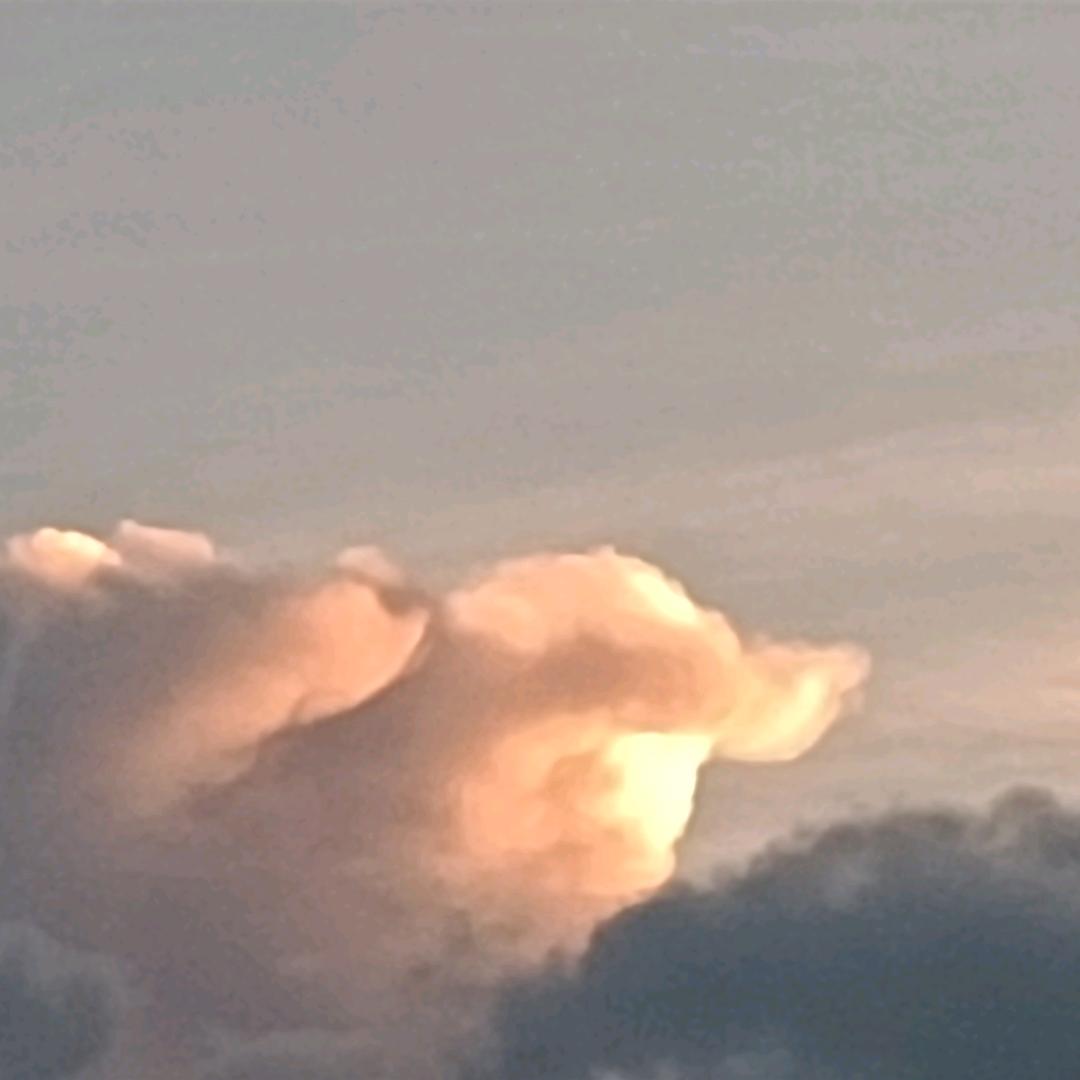 老班