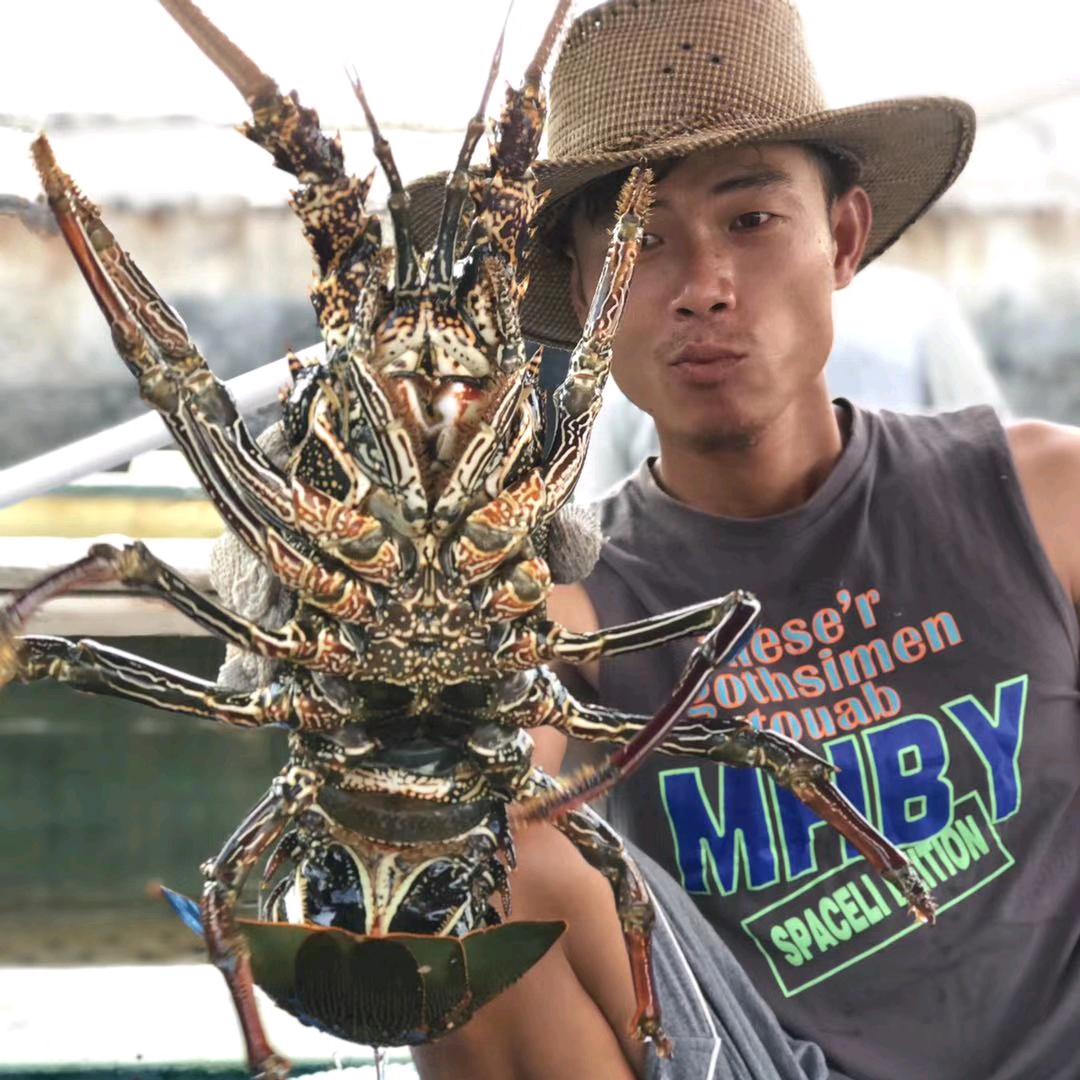 海岛鱼夫阿隆