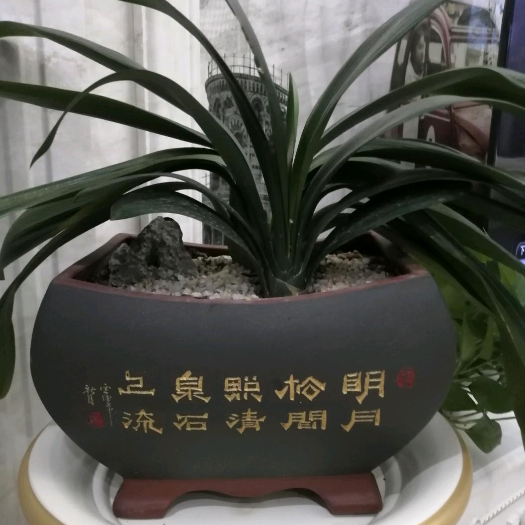 是小杜丫😄