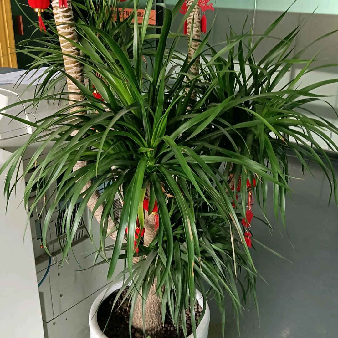 （开心每一天）