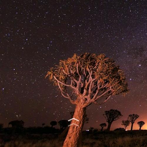 唯有时光忆年少