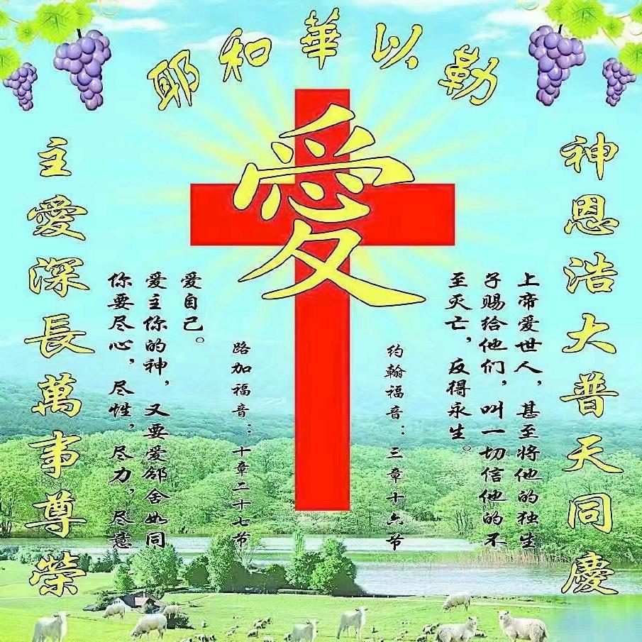🍀凝眸牵不住时光🌺