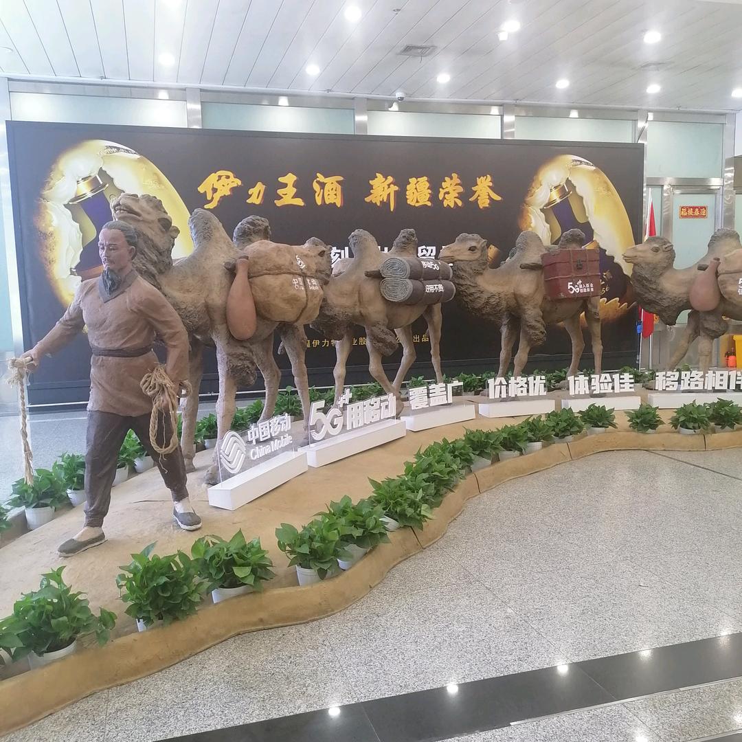 阳光依然