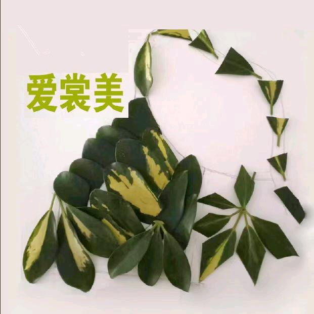 友芹服饰店